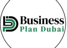 How can a Business Plan Dubai help with immigration visas?