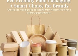 Eco Friendly Food Packaging: A Smart Choice for Brands