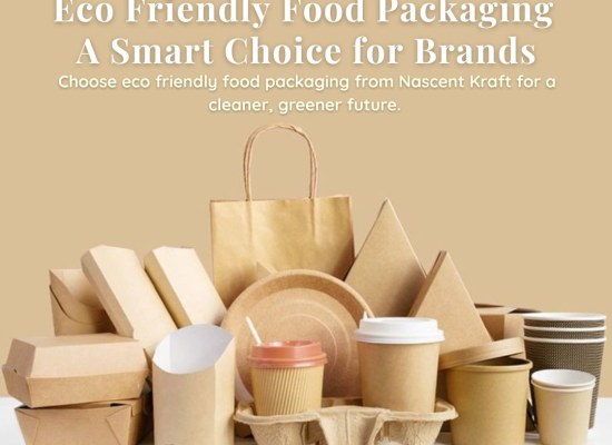 Eco Friendly Food Packaging: A Smart Choice for Brands