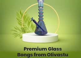 Premium Glass Bongs from Olivastu