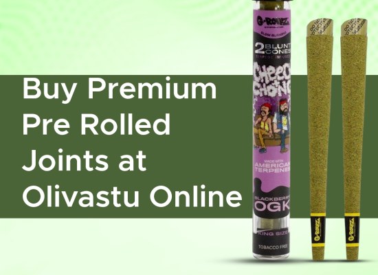 Buy Premium Pre Rolled Joints at Olivastu Online