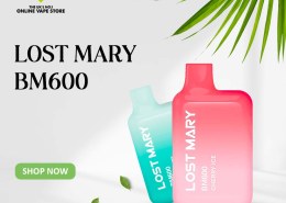 Lost Mary BM600