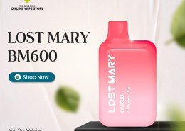 Lost Mary BM600