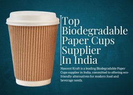Top Biodegradable Paper Cups Supplier in India