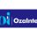 OzaIntel - CRM Analytics Services