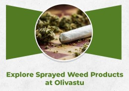 Explore Sprayed Weed Products at Olivastu