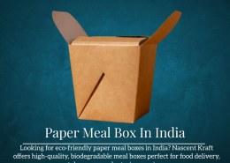 paper meal box In India