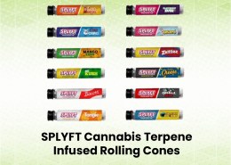 SPLYFT Cannabis Terpene Infused Rolling Cones