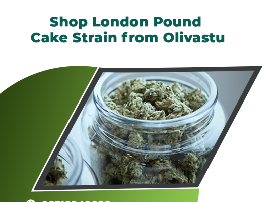 Shop London Pound Cake Strain from Olivastu