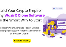 Build Your Crypto Empire: Why WazirX Clone Software Is the Smart Way to Start