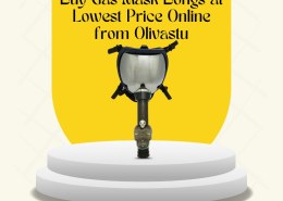 Buy Gas Mask Bongs at Lowest Price Online from Olivastu