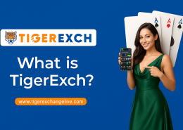 Tiger Exchange – Redefining Online Sports & Casino Entertainment