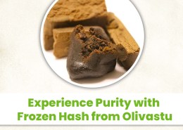 Experience Purity with Frozen Hash from Olivastu