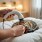 Paw Pedicure Electric Nail Grinder