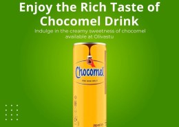Enjoy the Rich Taste of Chocomel Drink