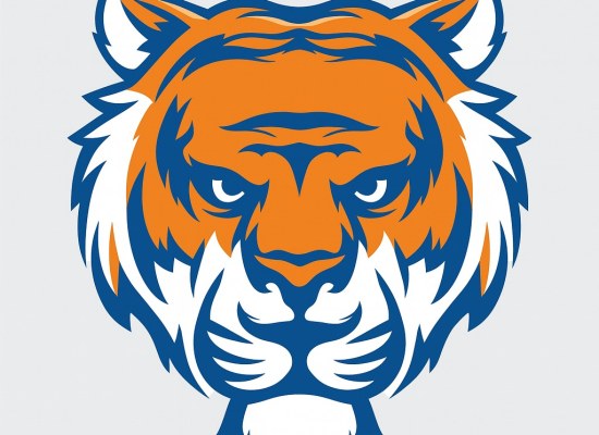 Why Tigerexch is the Best Platform for Cricket Betting in 2025