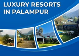 Elegant Luxury Resorts In Palampur for a Relaxing Holiday