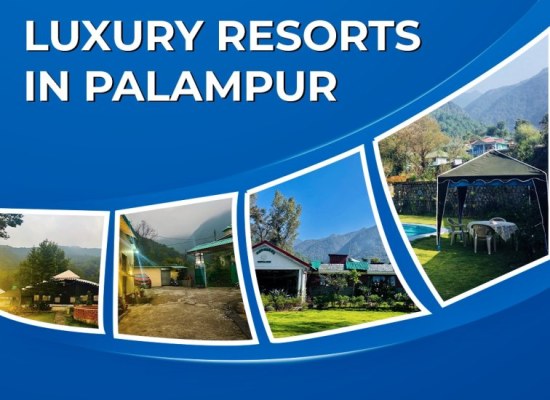 Elegant Luxury Resorts In Palampur for a Relaxing Holiday