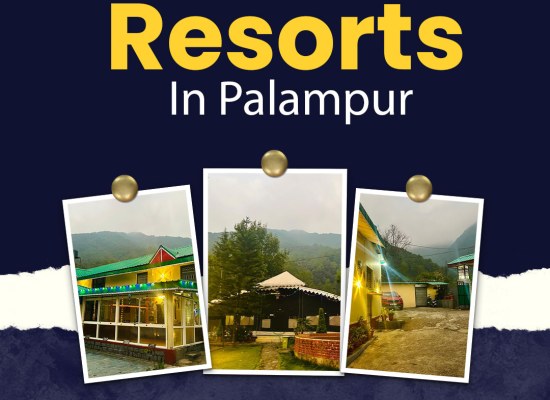 Peaceful Resorts In Palampur for a Perfect Nature Getaway