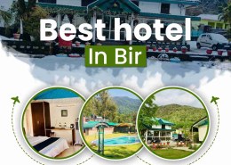 Experience Comfort at the Best Hotel In Bir for Nature Lovers