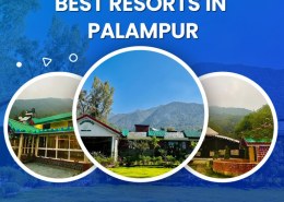 Stay at the Best Resorts In Palampur for a Nature Retreat