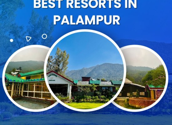 Stay at the Best Resorts In Palampur for a Nature Retreat