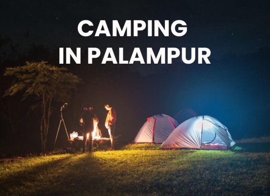 Adventurous Camping In Palampur Amidst Hills and Valleys