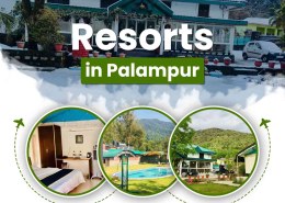 Best Resorts in Palampur