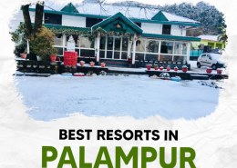 Best Resorts in Palampur