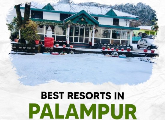 Best Resorts in Palampur