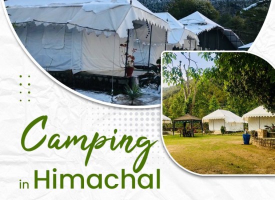 Camping in Himachal